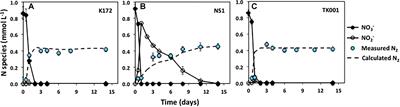 Denitrification Biokinetics: Towards Optimization for Industrial Applications